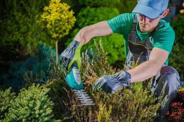 landscaping services Kearney